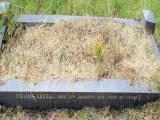 image of grave number 136783
